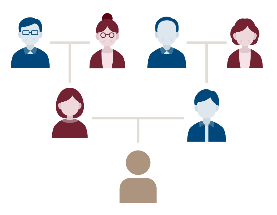 相続人は誰？法定相続人の優先順位【40代50代向け完全ガイド】