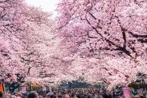 上野恩賜公園(東京都)