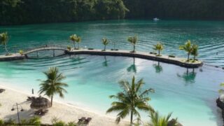 【保存版】パラオ・ブルーコーナーを遊び尽くす！世界中のダイバーを虜にする5つの理由と攻略法