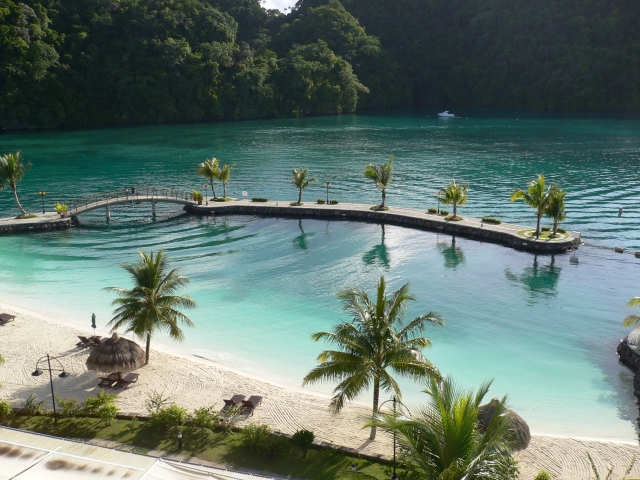 【保存版】パラオ・ブルーコーナーを遊び尽くす！世界中のダイバーを虜にする5つの理由と攻略法