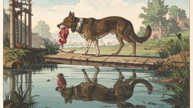 すべてを得ようとして全てを失う——「欲張りな犬」に学ぶ選択と集中の経営哲学