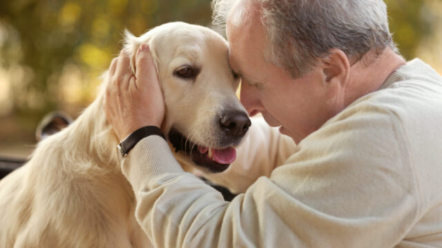 愛犬の幸せは飼い主の笑顔から——一人暮らしで犬を飼う40代・50代のためのセルフケアと「最高の相棒」になる完全ガイド