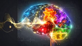 意識のハードプロブレムとは何か？｜なぜ科学はいまだ『心』を説明できないのか