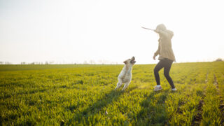 週末の「まとめ行動」はNG?一人暮らし×愛犬のための休日マイルール