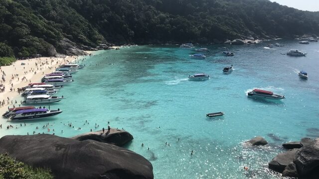 タイ・シミラン諸島「リチェリューロック」とは?世界屈指の生物密度を誇る伝説の水中スポット