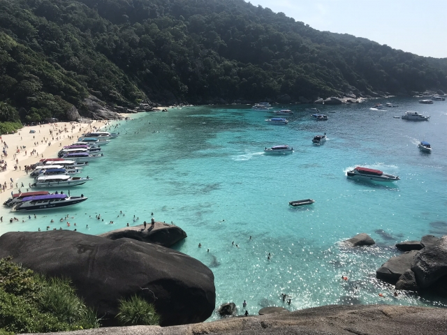 タイ・シミラン諸島「リチェリューロック」とは?世界屈指の生物密度を誇る伝説の水中スポット